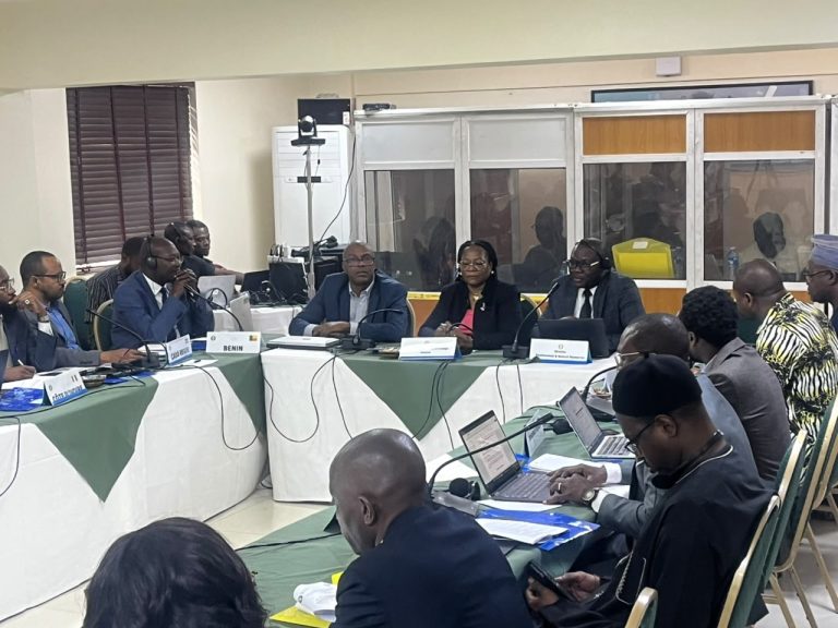 ECOWAS Targets $294bn Climate Finance Gap, Moves to Unlock West Africa’s Carbon Market Potential