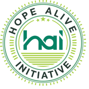 HAI Launches Grassroots Campaign for Tinubu’s 2027 Re-election
