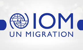 Migration Routes Grow Deadlier Despite Sharp Drop in Arrivals – IOM