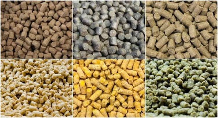 FMLD Distributes Over 1,000 Livestock Feed Inputs To Farmers In Bayelsa