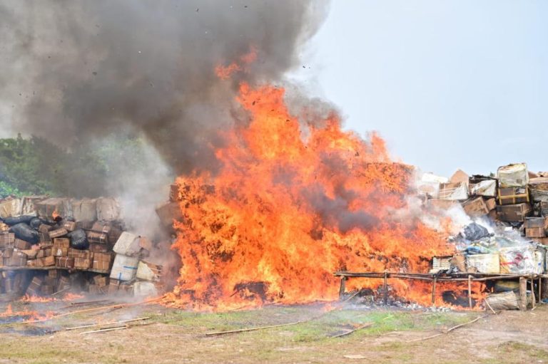 NDLEA Destroys N301bn Drugs, Vows to Cripple Cartels’ Financial Networks