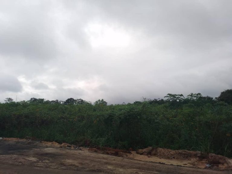 Five Weeks After Uzere Blowout, Heritage Energy Yet to Contain Spill, Clean Up Site – HOMEF