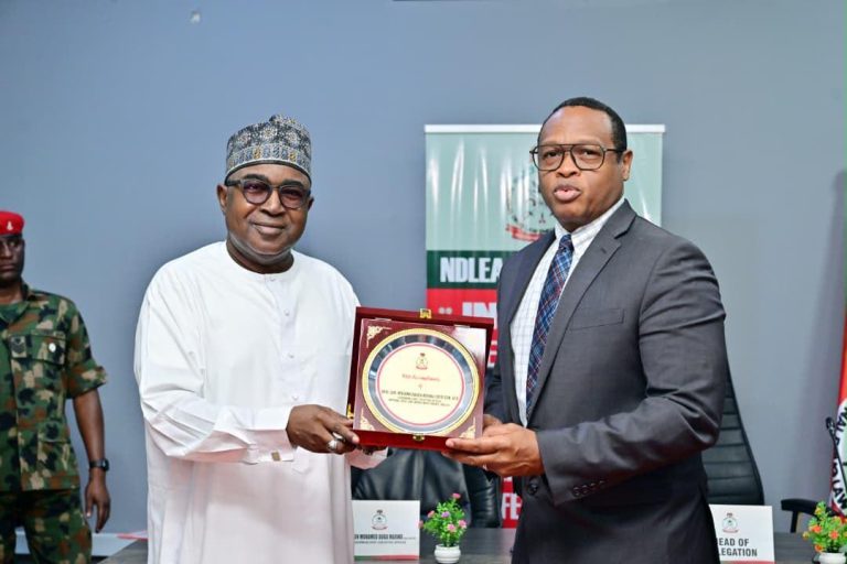 Fentanyl Production Threat Uncovered in Ogun Forest as NDLEA Seeks More Help
