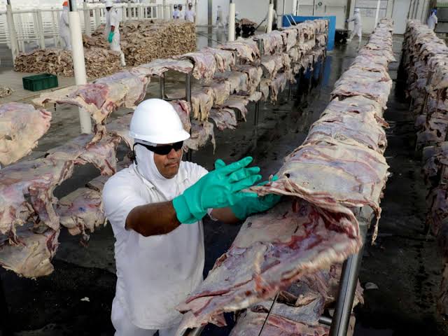 JBS $2.5bn Livestock Deal: Civil Society Demands MoU Disclosure, Impact Assessment