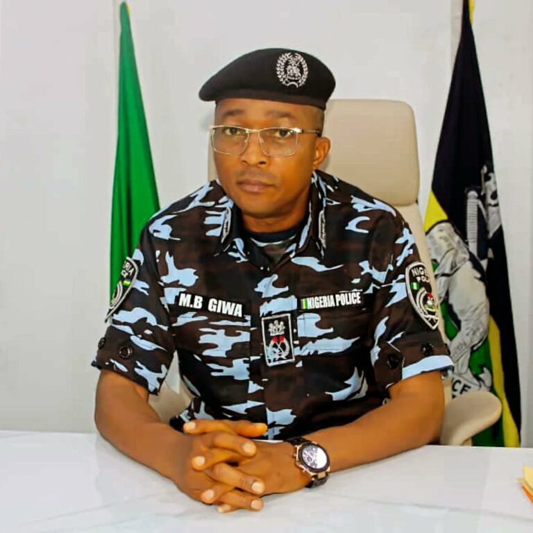 Police Detain 6,240 Suspects, Rescue 211 Kidnapped Victims in Enugu