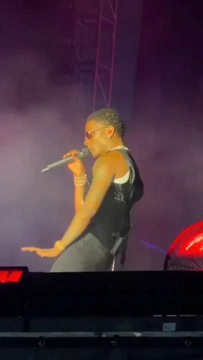 Wizkid Marks 15 Years in Music Industry at Afro Plus Fest In US