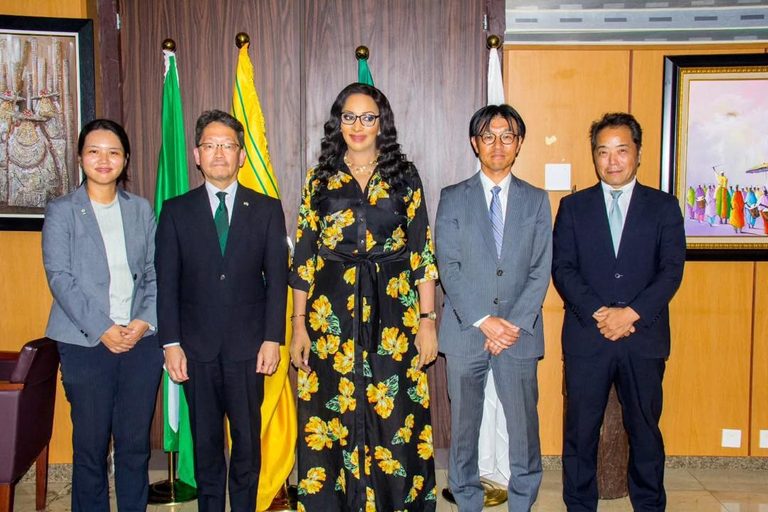 Nigeria, Japan Move to Set Up Industrial Hub to Unlock Investment