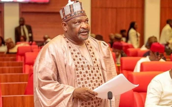 Independence Day: Stand Firm, Protect Democratic Values, Institutions, Ningi Urges Nigerians
