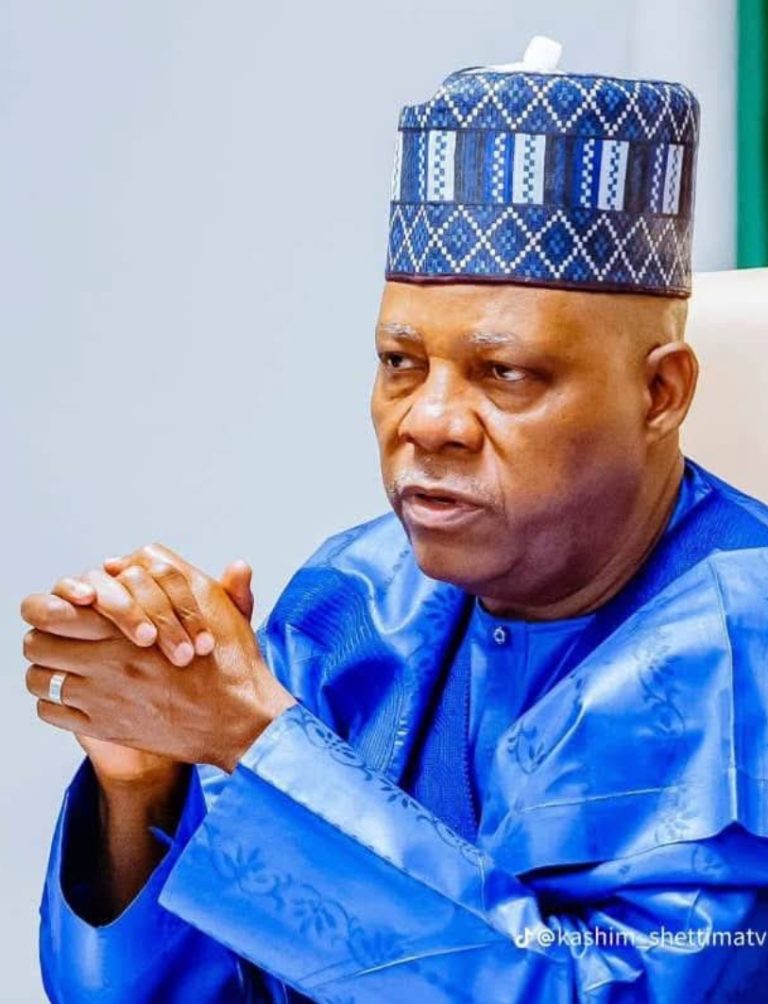 VP Shettima Allegations: Paul Ibe Must Bring Proof, Not Just Headlines