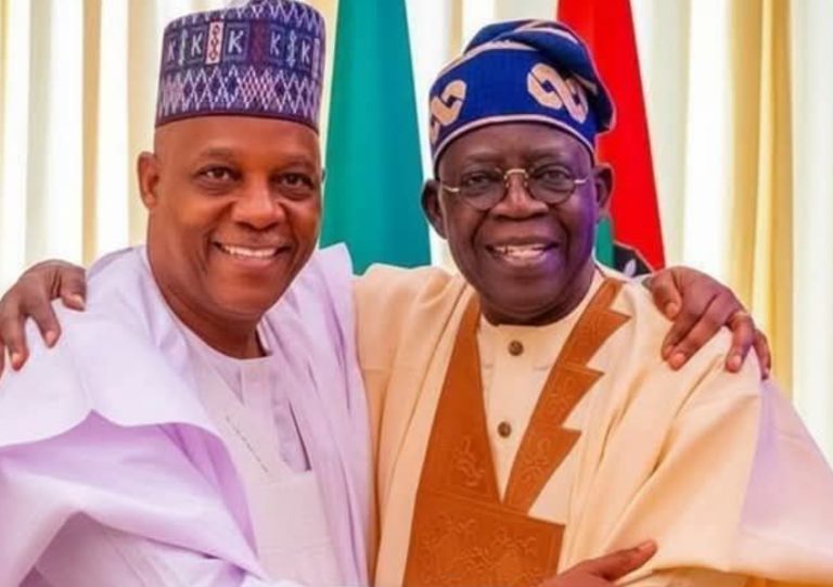 Tinubu’s 2027 Gamble: Why Shettima Remains His Running Mate