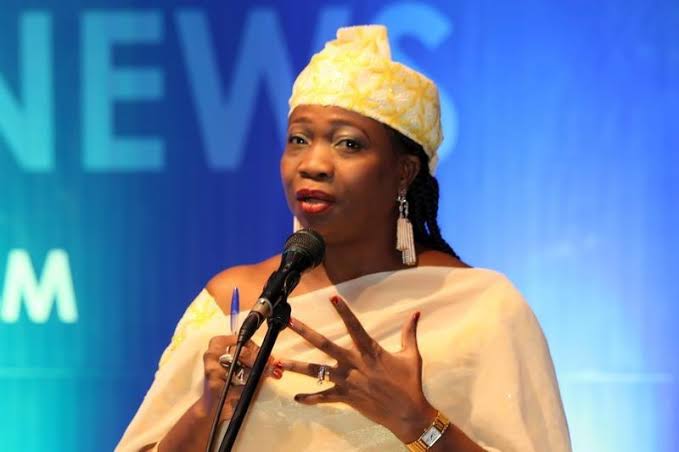 Dabiri-Erewa Urges Nigeria to Harness Global Expertise of Diaspora Professionals